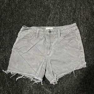Universal Thread Light Gray Frayed Jean Shorts